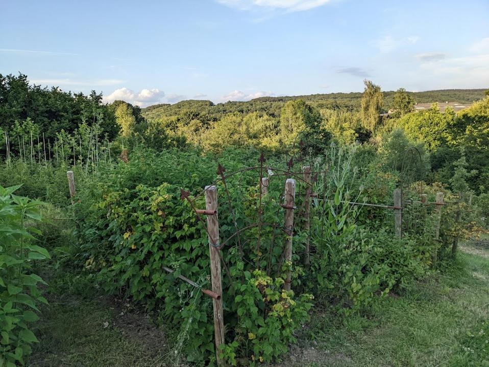 ÉrezéeLa Jardiniere住宿加早餐旅馆 外观 照片